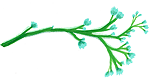 flower divider